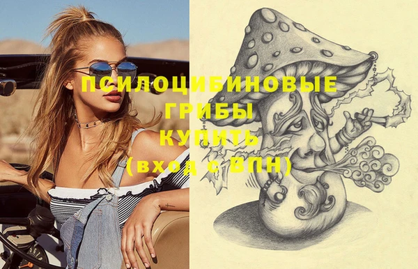 крисы Алексин