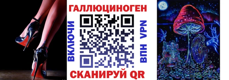 Псилоцибиновые грибы Psilocybine cubensis  OMG   Мензелинск 